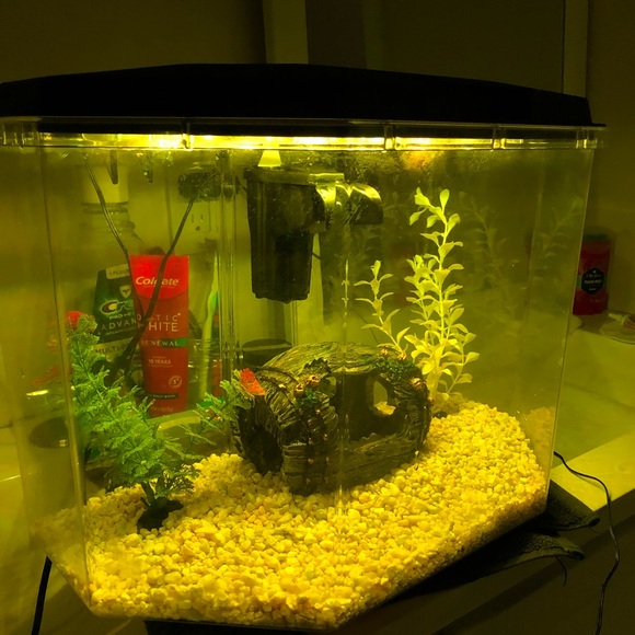 6.7 gallon fish tank (like new) - Picture 7 of 8